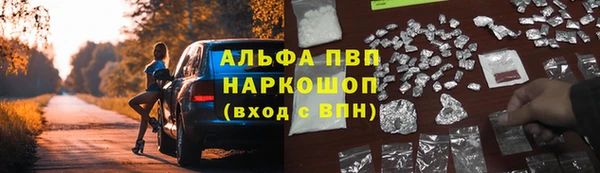 эйфоретик Ладушкин