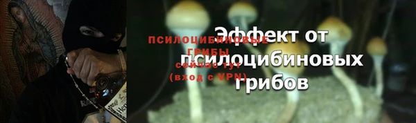 спайс Лабытнанги
