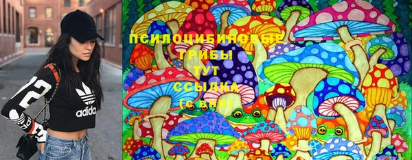эйфоретик Ладушкин