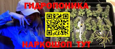 ECSTASY Конаково